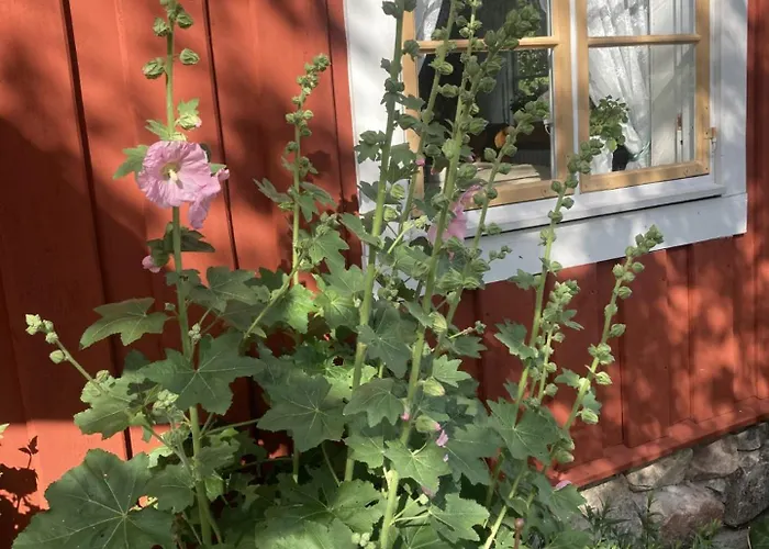 Thorstorps Gard B&B